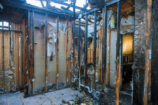 Professional Structural Rebuild technician working in North Liberty, IN